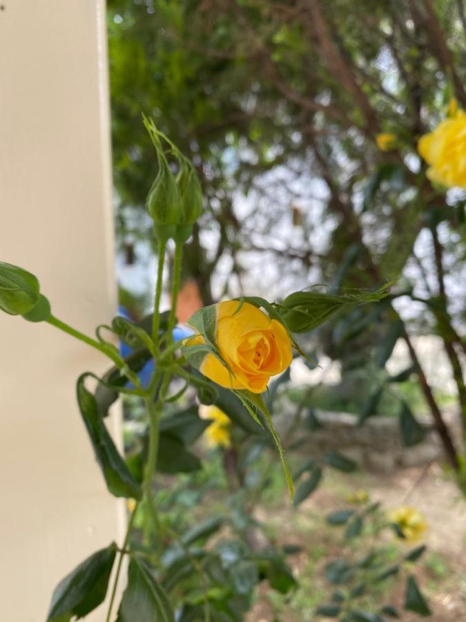 Villa Valmas Katsaros (Skiathos)